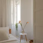 Apartamento Next To Amphitheatre Pula