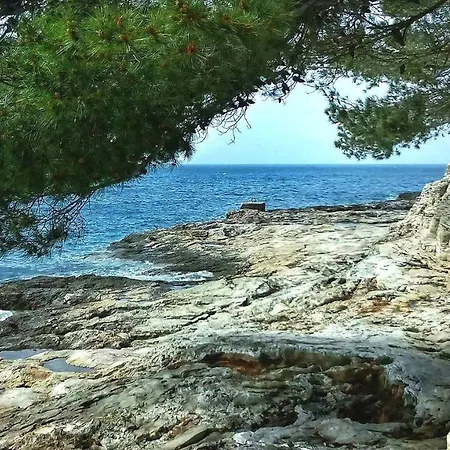 Next To Amphitheatre شقة *