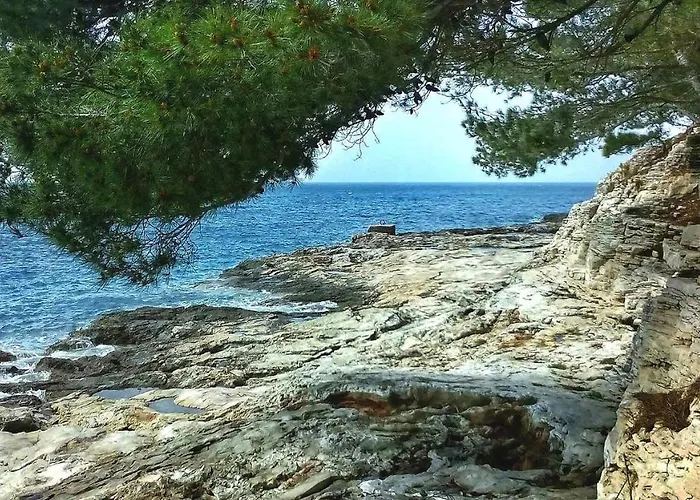 Next To Amphitheatre Daire *