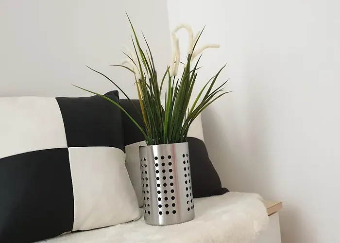 Next To Amphitheatre アパート *